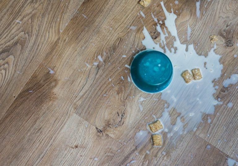spilled cereal bowl on kitchen flooring